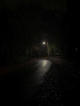 The Night…