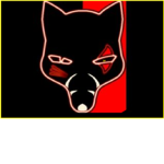 Dark Foxes