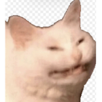 Silly Obby Studio (SOS)
