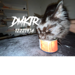 DMKJR