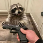 Whar-Kar