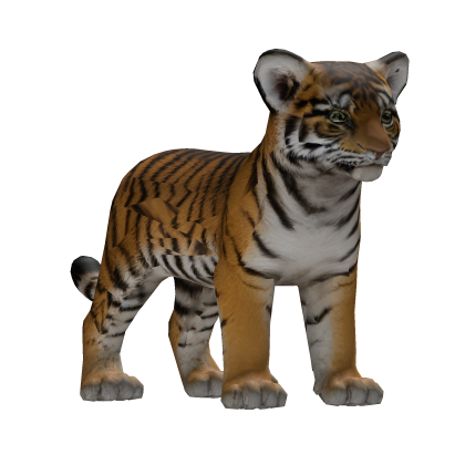 Carry a Baby Tiger