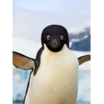 fsdafgasgWWWW