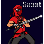 Ninja Scouts