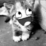 ! Plugg