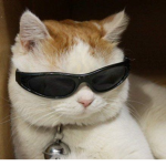 AmarRu Followers