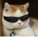 AmarRu Followers Group Thumbnail