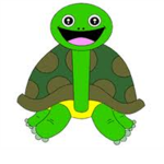 turtle squad