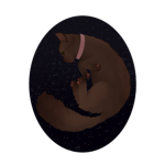 { Night of many stars }