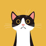 Cat Code (Team)