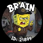 the brain teasers