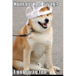 SAWG DOGE