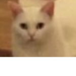 S h r ek