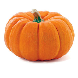 🎃 Softic Halloween 🎃 icon