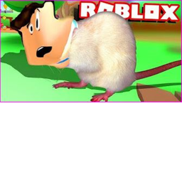 Chinchilla Obby