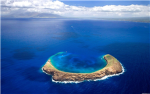 Hawaian Army