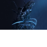Xeno group