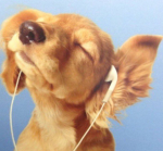 #Puppyarmy:3