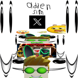 aaden simulator x
