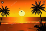 The sunflower sunset