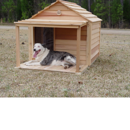 the doghouse