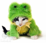 Team Lionel and Frog