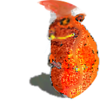i made A chomik