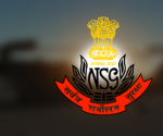 NSG [8cc]