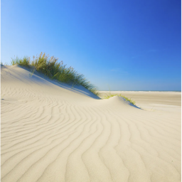 playful sand