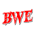 Backyard Wrestling Entertainment (BWE)