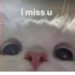 Trxppy_iiix