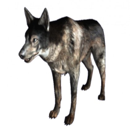 Dog Roblox decal
