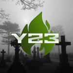 Y23