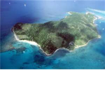 Survival Island (roleplay group)