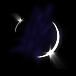 New Moon Projects