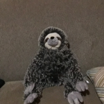 Sloth gang12345