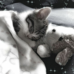 <3