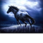+MOONLIGHT STABLES+