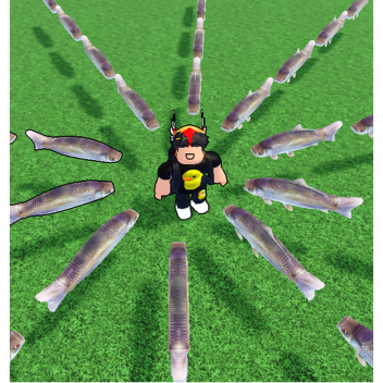 Save Your Streak From Salmon's