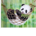 Pandas are amazing and cute