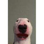 walter giving robux