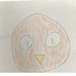 N5 Owls fan group
