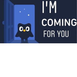 A DUOLINGO HORROR STORY
