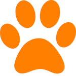 The Paw Studios
