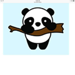 Official Panda Squad.