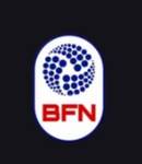 Blox Football National (BFN)