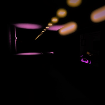 Vibe Train