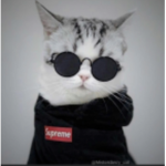 Tiny Robux