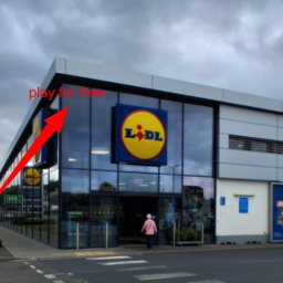 lidl simulator