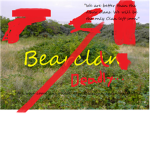 Bearclan (Warrior Cats group)
